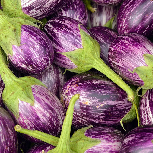 Aubergine Raspberry Ripple F1 Seeds - Image 3