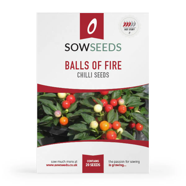 Chilli Pepper Balls of Fire Seeds