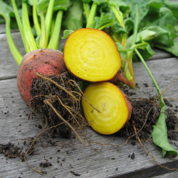 Beetroot Burpees Golden Seeds - Image 3