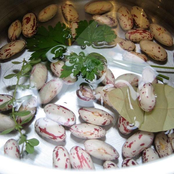 Borlotti Bean Tintoretto Seeds - Image 6