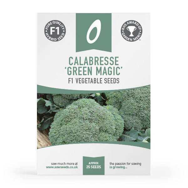 Calabrese Green Magic F1 Seeds (AGM)