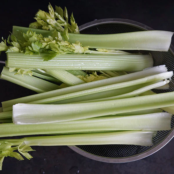 Celery Celebrity AGM Seeds - Image 3