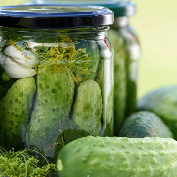 Cucumber Calimbo (Gherkin) F1 Seeds - Image 4
