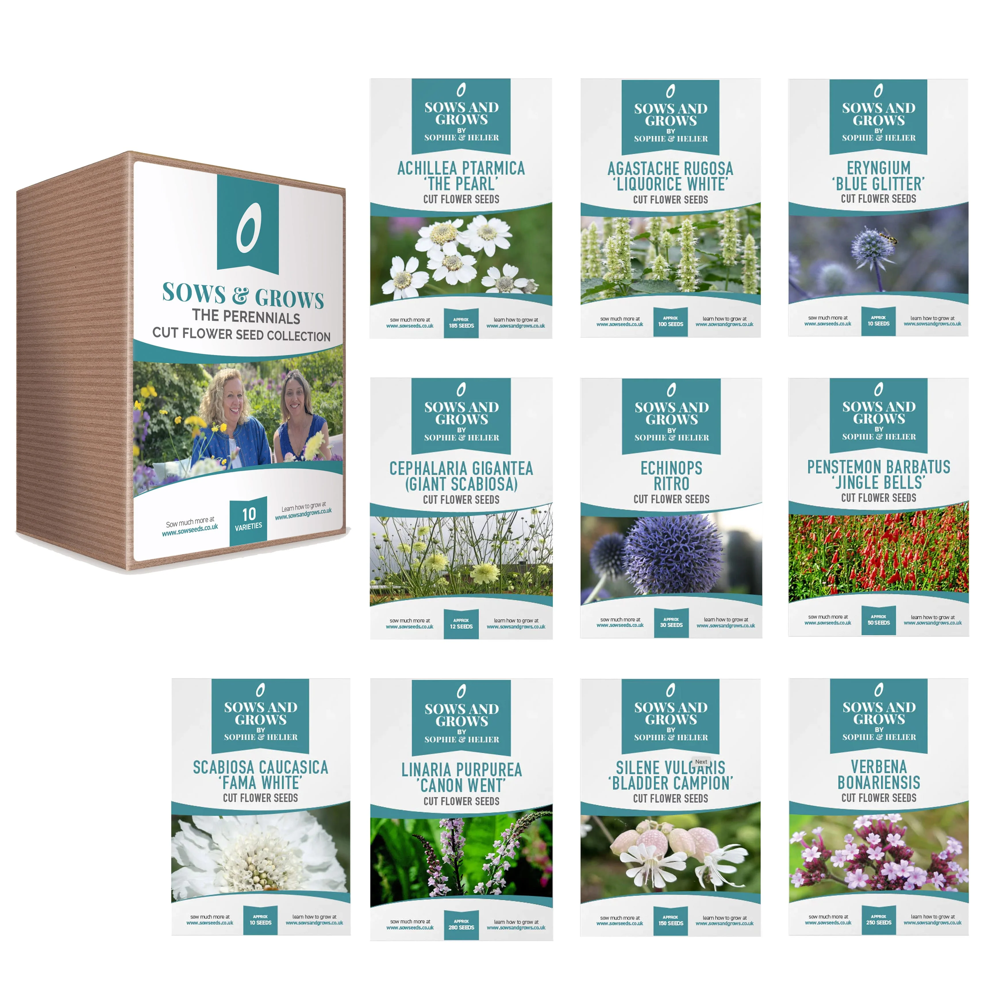 Cut Flower Gift Bundle - Image 3
