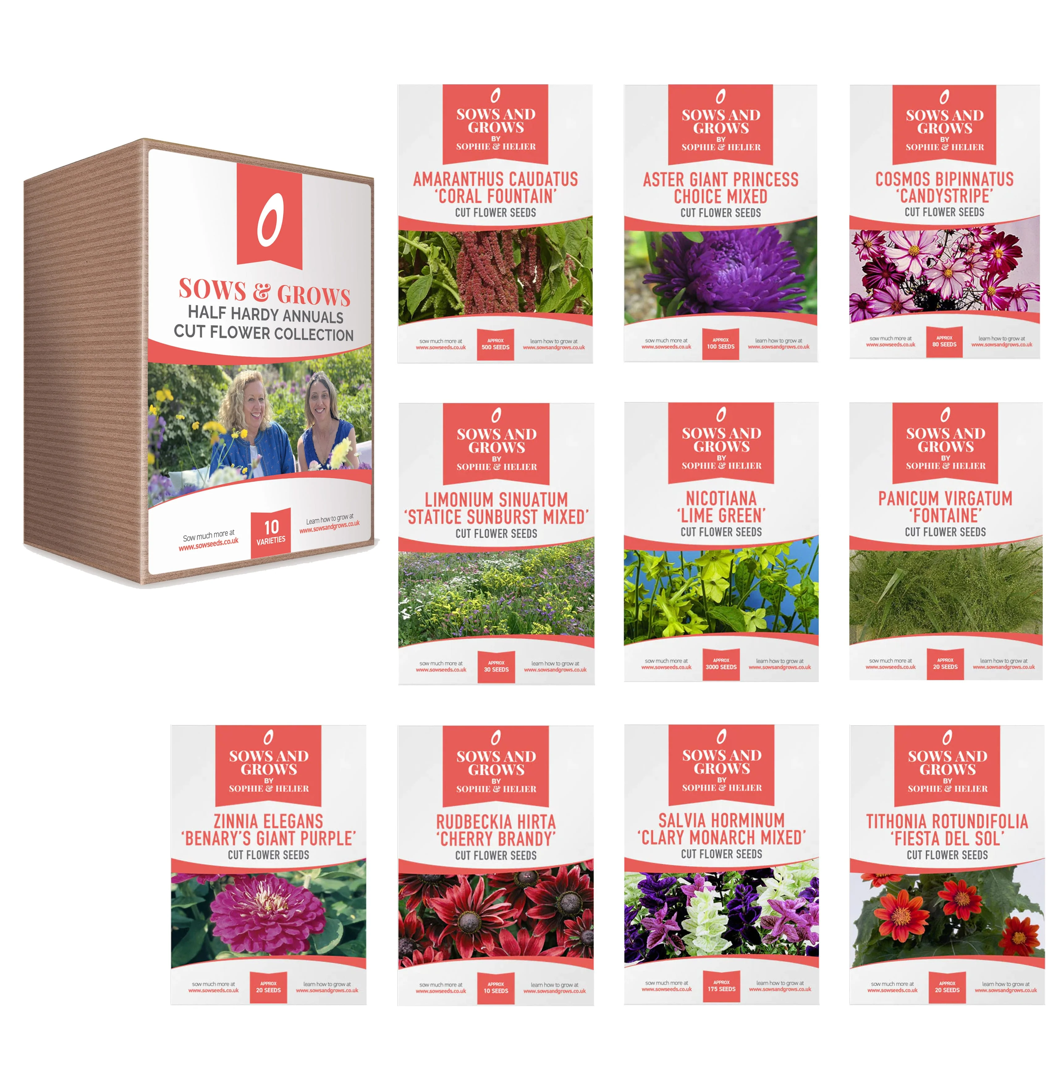 Cut Flower Gift Bundle - Image 4