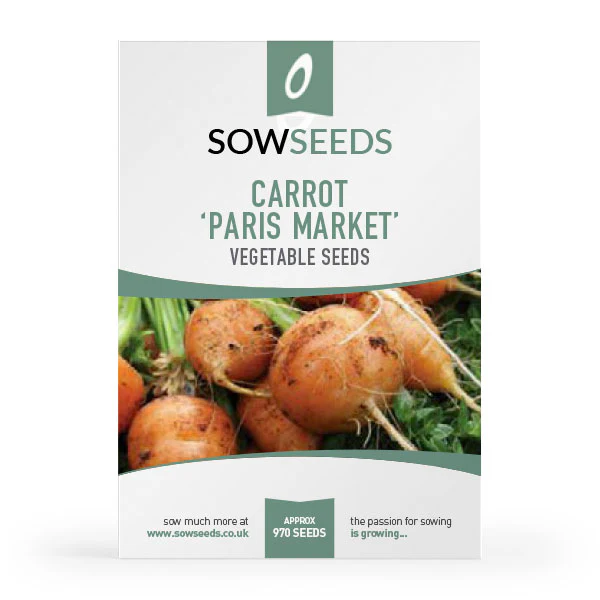 Essential Container Veg Seed Collection - Image 5