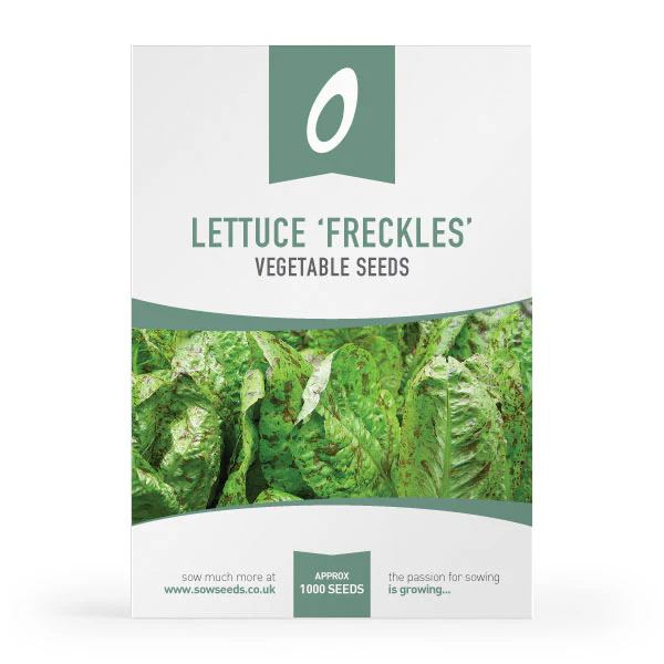 Essential Container Veg Seed Collection - Image 9