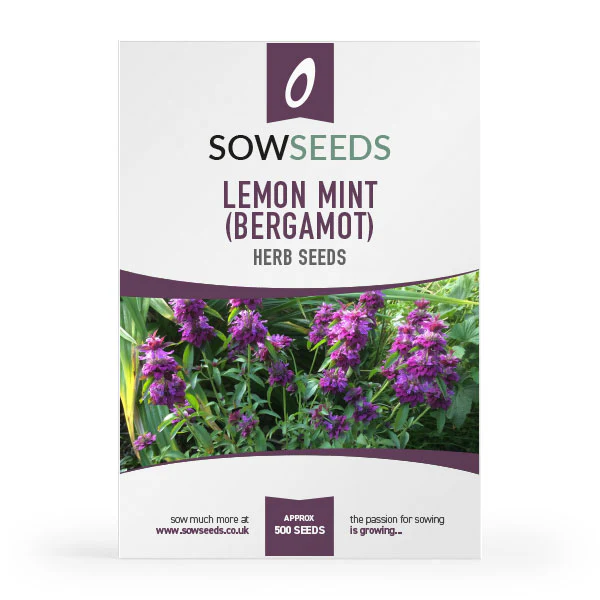 Vegetable Seeds Spring Sale