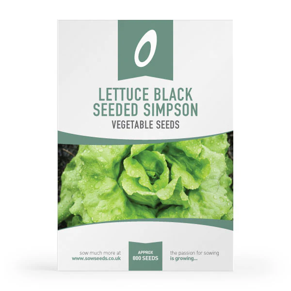 Sow Heritage Vegetable Seed Collection Box - Image 4