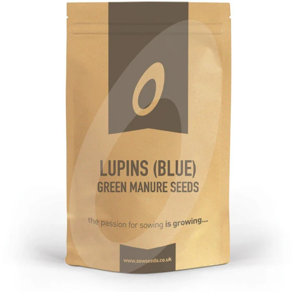 Green Manure Lupins Seeds - Image 2