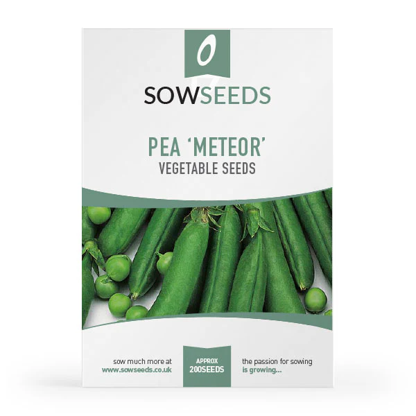 Pea Meteor Seeds