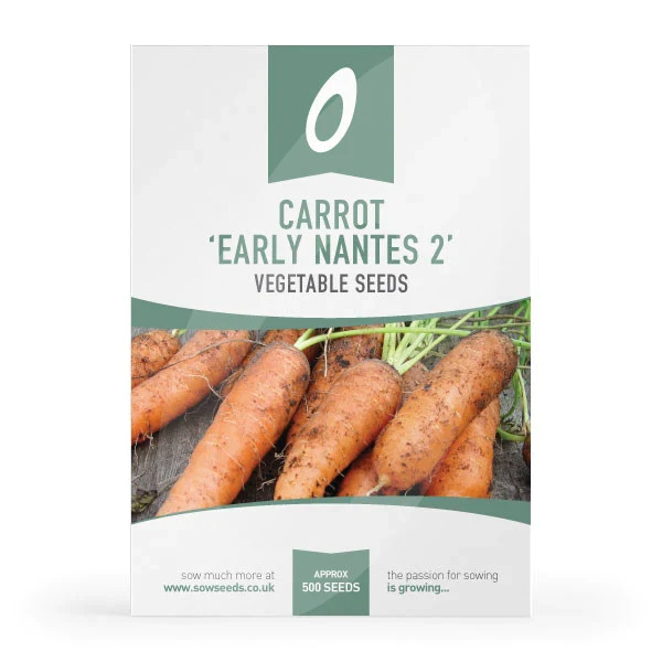 Sow Allotment Essentials Vegetable Seed Collection Box - Image 6