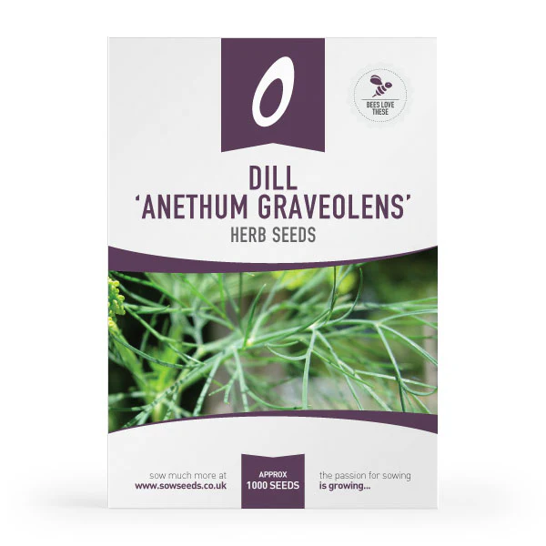 Sow Herb Garden Seed Collection Box - Image 5