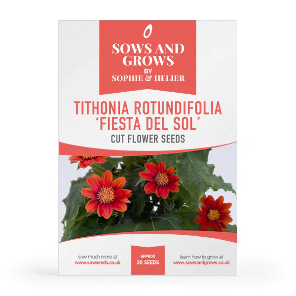 'Half Hardy Annuals' Cut Flower Collection Box - Image 10