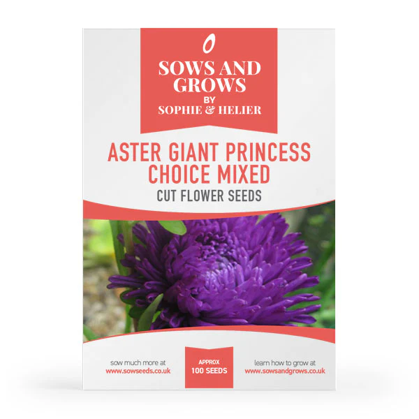 'Half Hardy Annuals' Cut Flower Collection Box - Image 3
