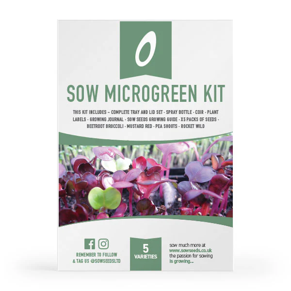 Sow Microgreens Starter Kit - Image 4