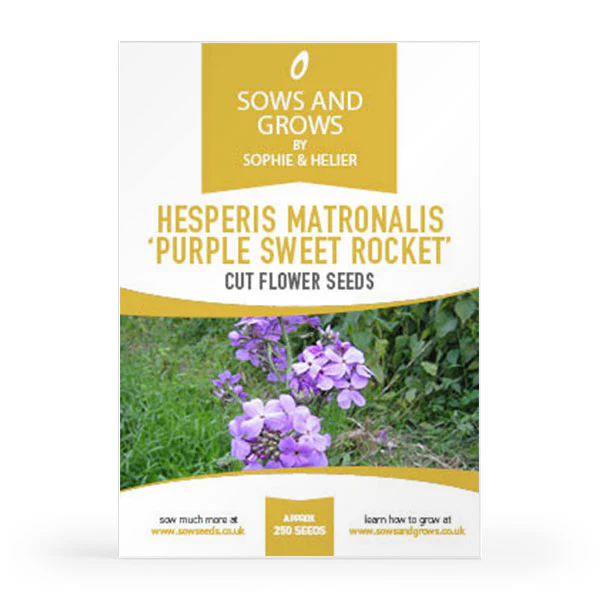 'The Biennials' Cut Flower Collection Box - Image 10