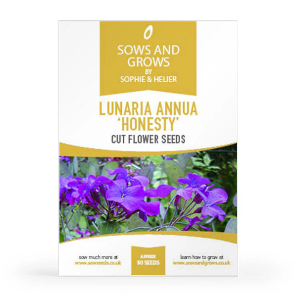 'The Biennials' Cut Flower Collection Box - Image 11