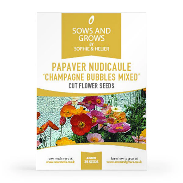 'The Biennials' Cut Flower Collection Box - Image 12