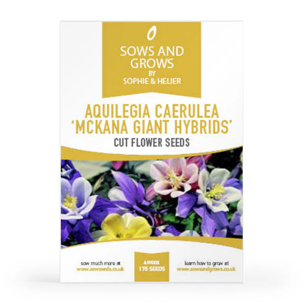 'The Biennials' Cut Flower Collection Box - Image 4