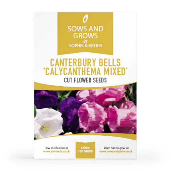 'The Biennials' Cut Flower Collection Box - Image 5