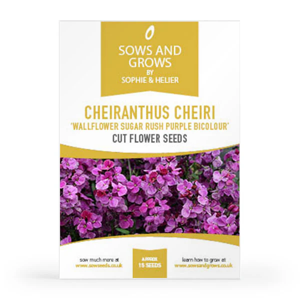 'The Biennials' Cut Flower Collection Box - Image 6