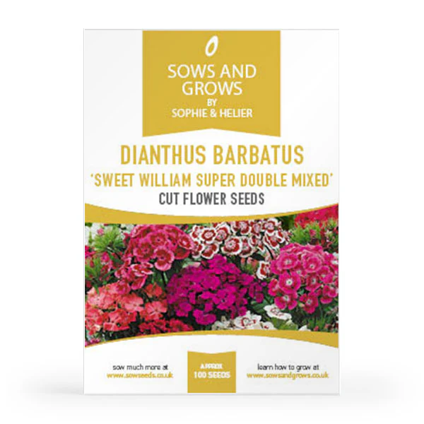 'The Biennials' Cut Flower Collection Box - Image 8