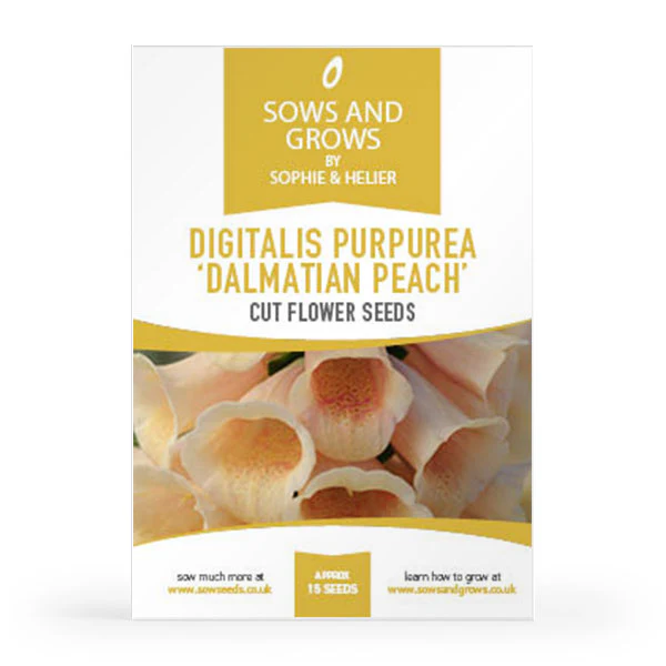 'The Biennials' Cut Flower Collection Box - Image 9