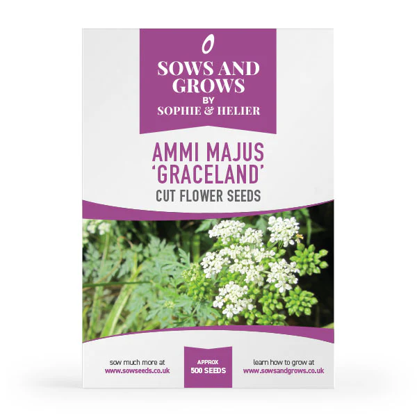 Hardy Annuals Cut Flower Collection Box - Image 3
