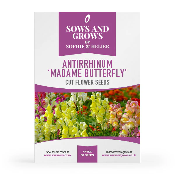 Hardy Annuals Cut Flower Collection Box - Image 4