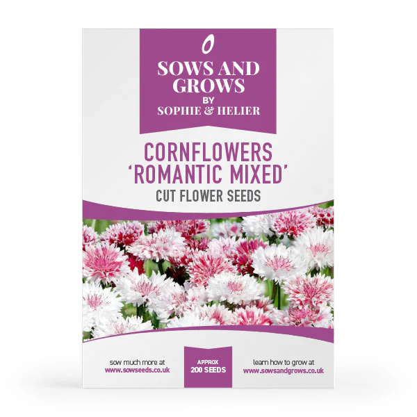 Hardy Annuals Cut Flower Collection Box - Image 5