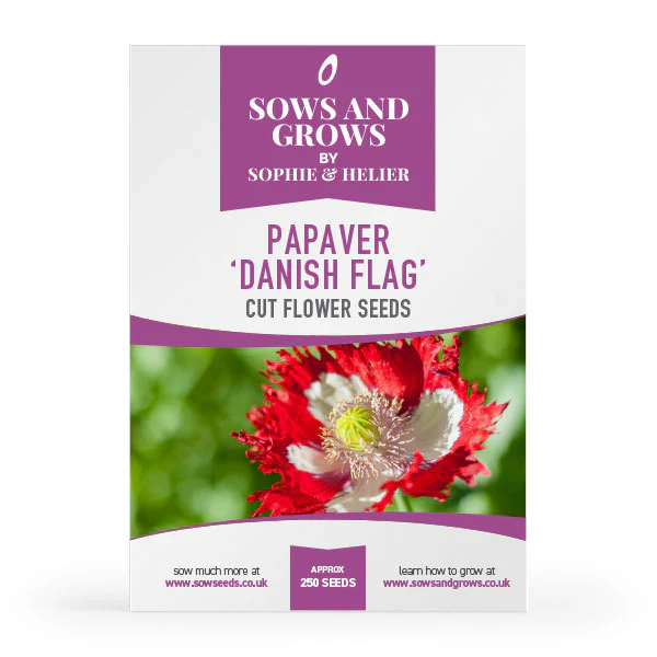 Hardy Annuals Cut Flower Collection Box - Image 9