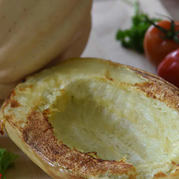 Squash Baked Potato Seeds - Image 3