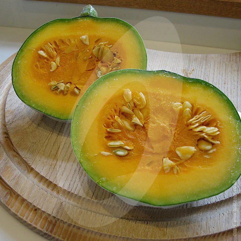 Squash Crown Prince F1 Seeds - Image 3