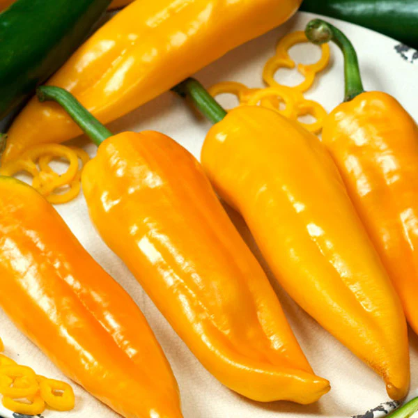 Sweet Pepper Corno dI Toro Giallo AGM Seeds - Image 3