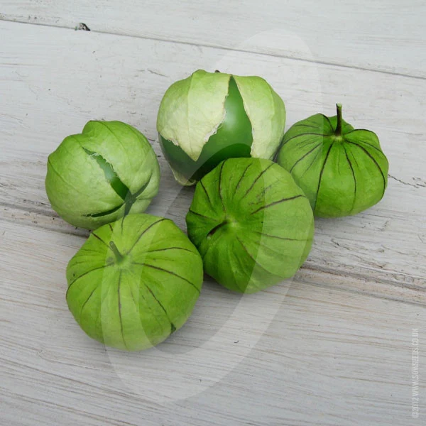 Tomatillos Verde Seeds - Image 5