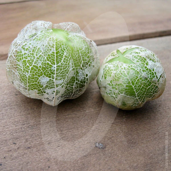 Tomatillos Verde Seeds - Image 6