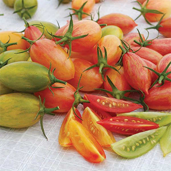Tomato Artisan Tiger Stripe Mix Seeds - Image 3