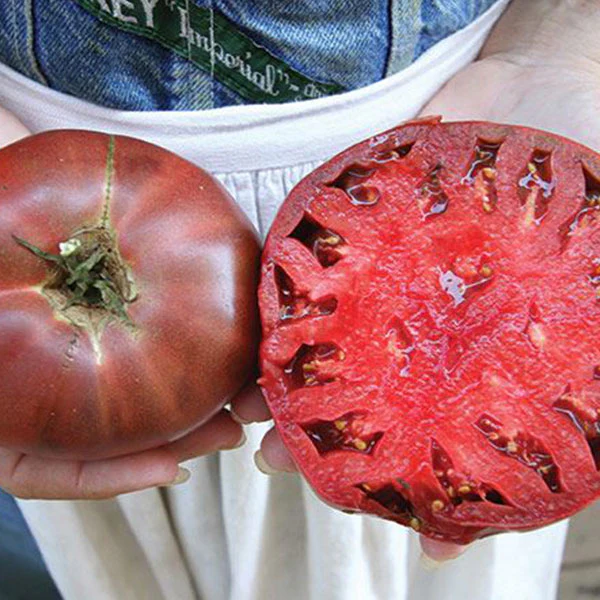 Tomato Cherokee Purple Seeds - Image 4