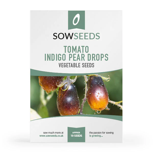 Tomato Indigo Pear Drops Seeds