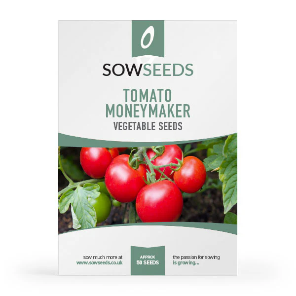 Tomato Moneymaker Seeds