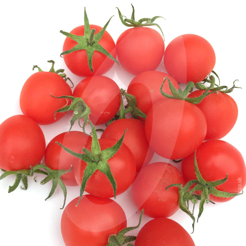 Tomato Sweet Aperitif Seeds (AGM) - Image 3