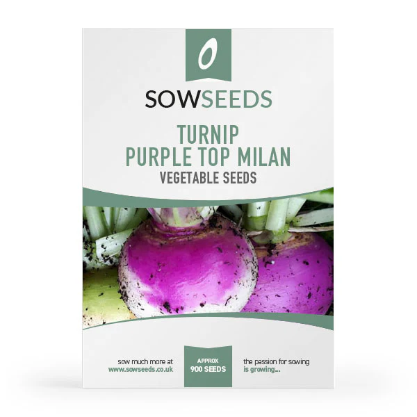 Turnip Purple Top Milan Seeds