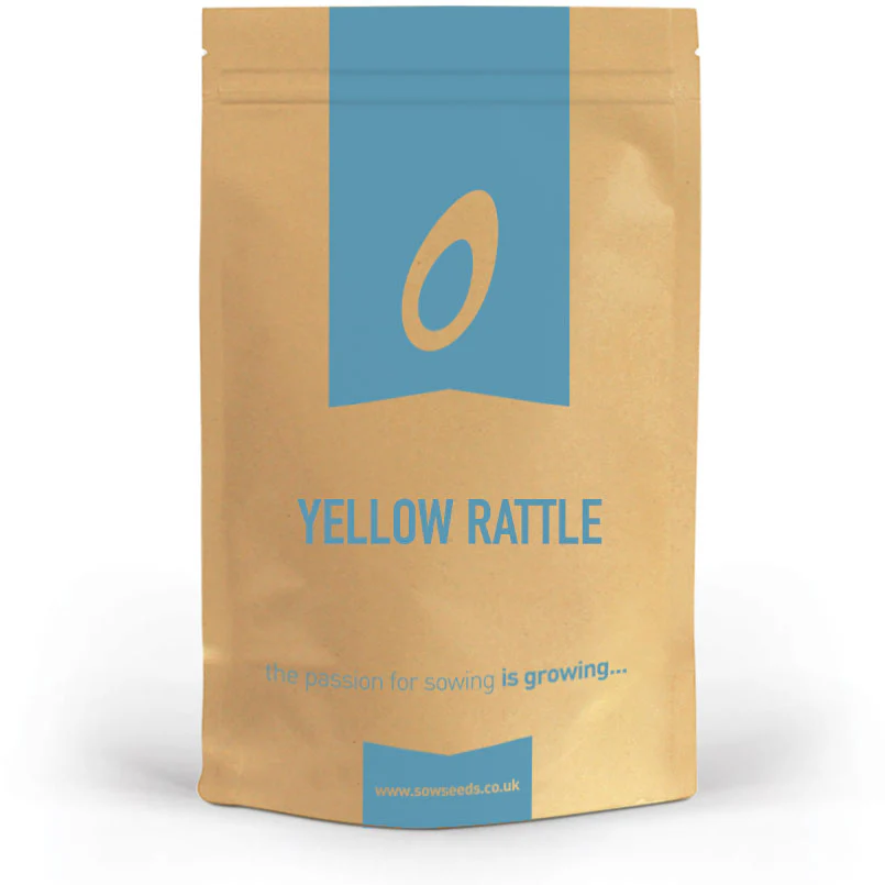 Yellow Rattle Wildflower Seed - Image 4